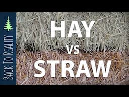 Know your garden mulch: Hay vs Straw