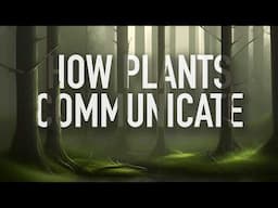 Do Plants Talk to One Another? (How do Plants Communicate?)