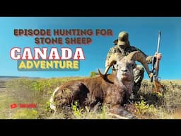 Canada Adventure Part 3 Episode Hunting for Stone Sheep