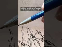 How to draw grass in #penandink