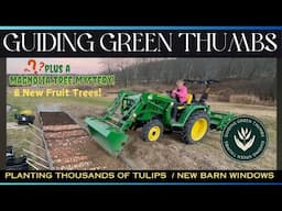 PLANTING TULIPS FOR CUT FLOWERS / NEW BARN WINDOWS / FRUIT TREES / MAGNOLIA MYSTERY