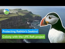 Protecting Rathlin Island's seabirds with the LIFE Raft project