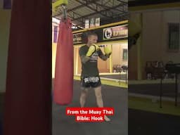 #muaythai #muayboran #martialarts how to hook in #thaiboxing by Sean Douglas