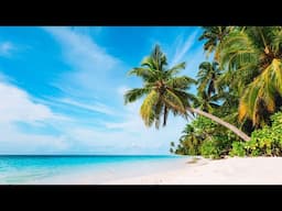 Stunning Beaches Scenes with Seaside Bossa Nova Jazz Music for Relaxation