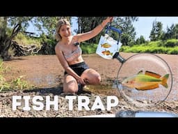 CATCHING Colourful Aquarium Fish - DIY Fish Trap!