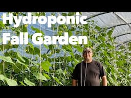 Hydroponic Fall Garden