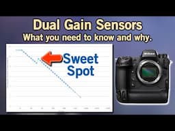 Dual Gain Sensors for Digital Cameras