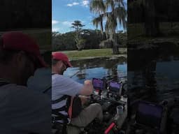 bass CRUSHES frog at the boat! #kayakfishing #bassfishing #topwater #frogfishing  #bigbass