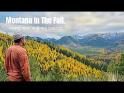 The golden Yellow and orange colors of Montana Mountains in the Fall Autumn Season.