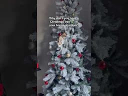 THIS is why we can’t have a tree anymore #holidaywithyoutube