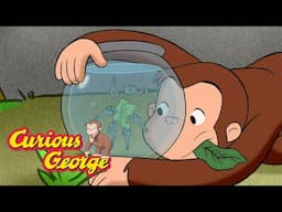 George Takes Care of Tadpoles 🐵 Curious George 🐵 Kids Cartoon 🐵 Kids Movies