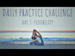 Daily Practice Challenge Day 3: Flexibility