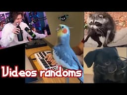 Rubius REACCIONA a VIDEOS RANDOMS y COSITAS #4