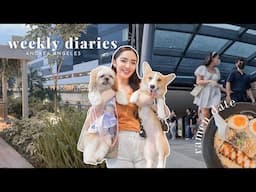 COLLEGE DIARIES: late night study with me, bgc & dates with our babies! 🐶🍜🤓 | Andrea Angeles