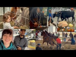 Our First Farmer's Fair - Cumberland Fair in Maine 2024 - Farm Animals, Food Trucks, History & More