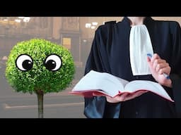 La nature a-t-elle des droits ? - 911 AVOCAT