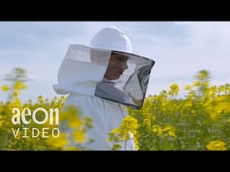 A 10-year-old beekeeper's fight against cancer | Pien, Queen of the Bees