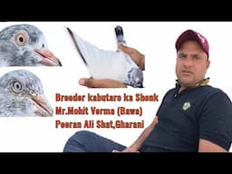 Breeder Kabutaro ka Shonk || Mr. Mohit Verma || Peeran Ali Shat || Gharani,J&K