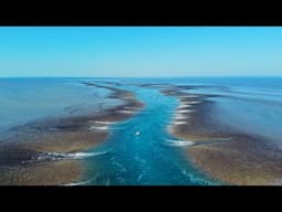 Kimberley PT 3 Exploring Montgomery Reef Australia's Largest Inshore Reef