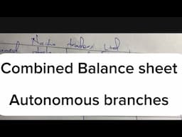 Combined balance sheet//autonomous branches//branch so