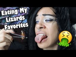 Tasting My Lizards Favorite Foods