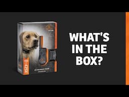 E-Collar Remote Trainer Unboxing - SportDOG FieldTrainer 425X