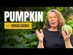 Morag Gamble's amazing tips for harvesting more from your pumpkin patch