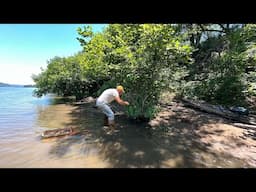 River Bushes That Hide Outstanding Artifacts.(Ohio River)