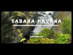 Sabana Havana || Daily Jazz Tunes for Cooking Fun || Ep.148