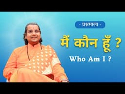 मैं कौन हूँ? (Who Am I?) | Question Answer | SWAMI KRISHNACHAITANYA