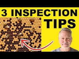 Beekeeping Inspections Simplified: 3 Essential Elements