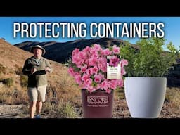 Winter Protecting Container Plants - Five Minute Friday