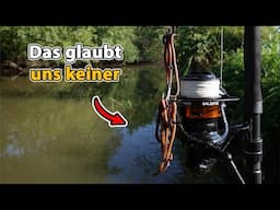 *Unerwarteter Fang - Gigantischer Wels im kleinen Fluss!*