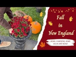 THRIFT HAUL//FALL DECORATING// PUMPKINS//RUMMAGE SALE//GIFTS & MORE #thrifthaul #vermont #newengland