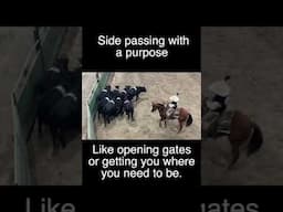 Side passing with a purpose.#horse #horseenthusiast #fyp #carsonjames #horselover #horses ￼