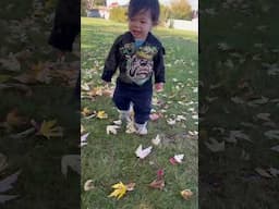 Cute Baby Boy Walking Through the Fall Leaves #short