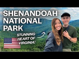 48 Hours in Shenandoah National Park: Fun Hikes and Camping 🇺🇸