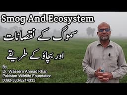 What Is Smog ? | What Are The Causes of Smog | Smog And Ozone | Smog Kyun Parti Hai | Smog Kya Hai ?