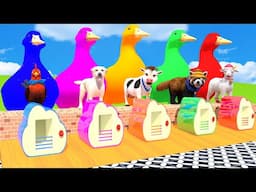 5 Giant Duck Cartoon, Cow, Mammoth, Elephant, Lion, Paint Wild Animals Crossing Fountain Animation