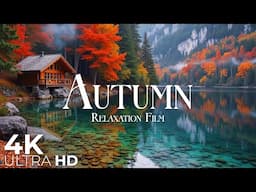 Autumn 4K - 12 Hours of Deep Relaxing Music | Relaxation Film | Nature Video Ultra HD