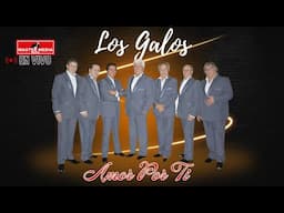 Los Galos - Amor Por Ti (En Vivo)🫶💿