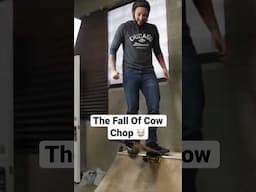 SKATEBOARD FAIL 🐮 🔪