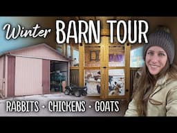 BARN TOUR - Meat rabbits, goats, chickens, & more (Winter 2024)