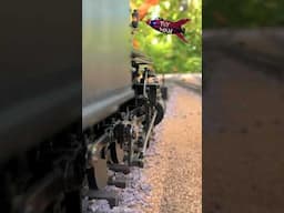 Outdoor Model Railroad