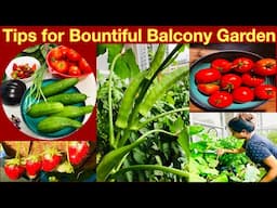 Tips for Bountiful Balcony Garden | How have a successful balcony garden | Self Sufficiency