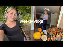 weekly vlog: (content creation tips, haters, chatty grwm)