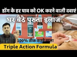 घाव पर चमत्कार   Dog Wound treatment at home / Dog ke Ghav ko kaise thik kare