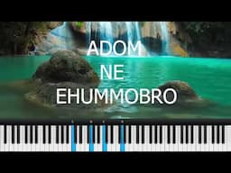 Adom Ne Ehummobro (Grace and Mercy)