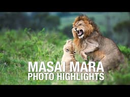 Masai Mara Safari - Angama Mara 2023 Photo Highlights