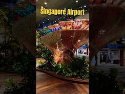 Singapore 🇸🇬 Changi Airport #singapore #changiairport